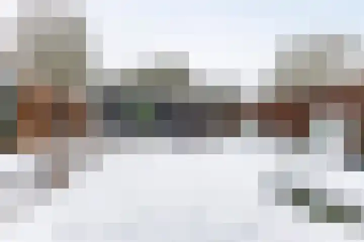 Lokeren 123 's-Hertogenbosch thumbnail 19