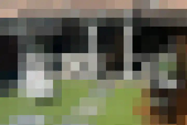 Lokeren 123 's-Hertogenbosch thumbnail 20
