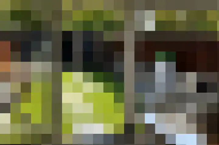 Lokeren 123 's-Hertogenbosch thumbnail 21