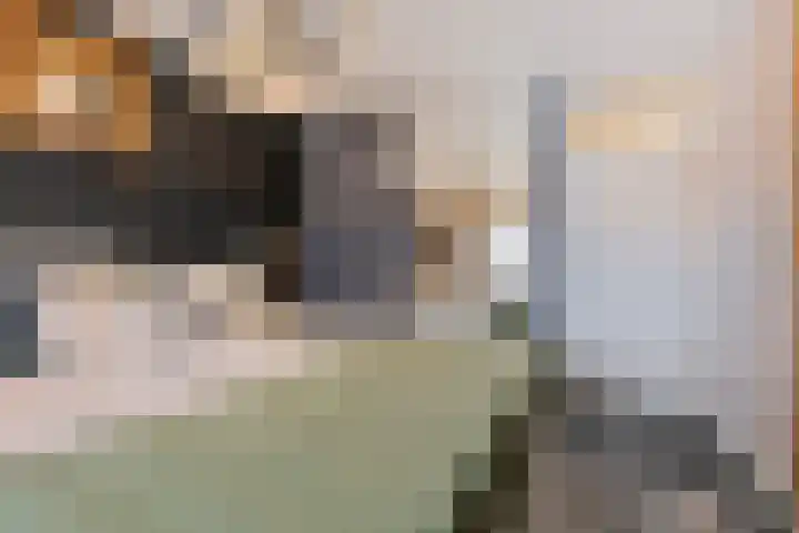 Lokeren 123 's-Hertogenbosch thumbnail 25