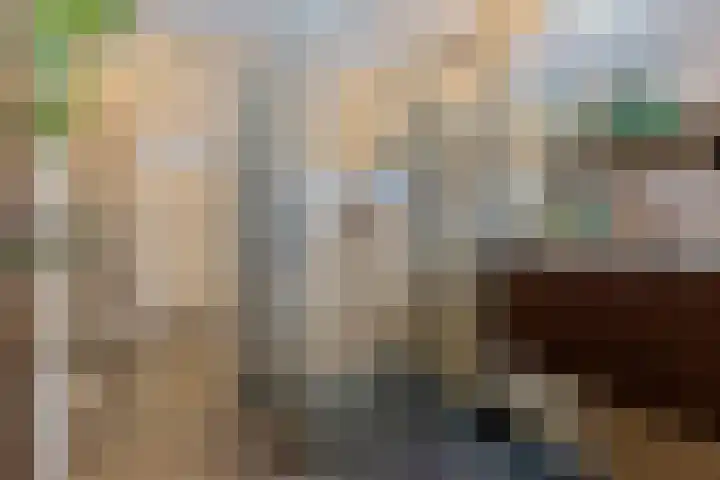 Lokeren 123 's-Hertogenbosch thumbnail 29