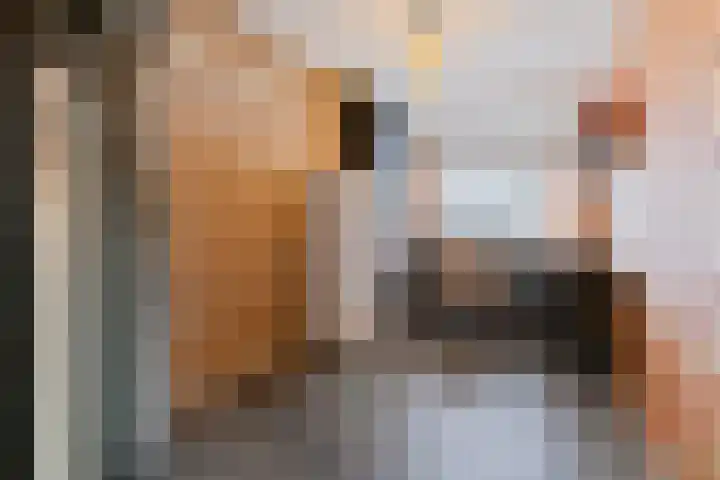 Lokeren 123 's-Hertogenbosch thumbnail 31