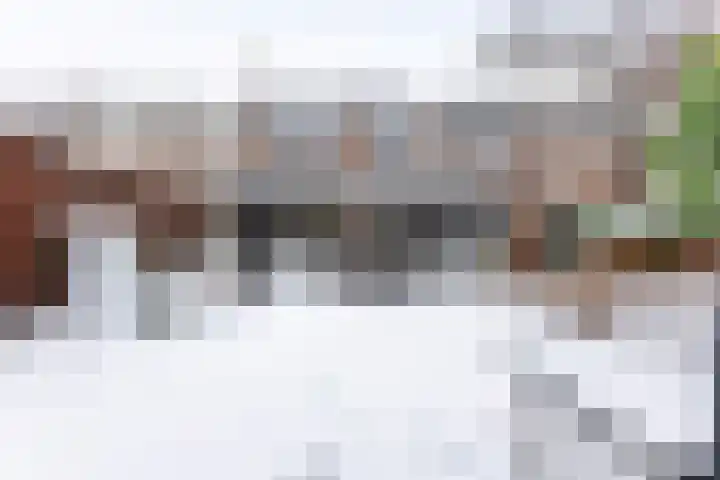 Lokeren 123 's-Hertogenbosch thumbnail 38