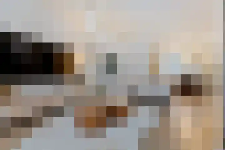 Lokeren 123 's-Hertogenbosch thumbnail 4