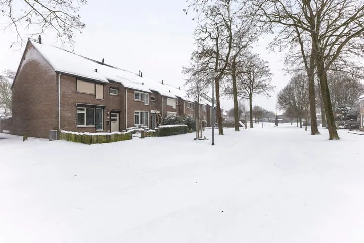 Lokeren 123 's-Hertogenbosch thumbnail 40
