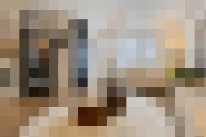Lokeren 123 's-Hertogenbosch thumbnail 5