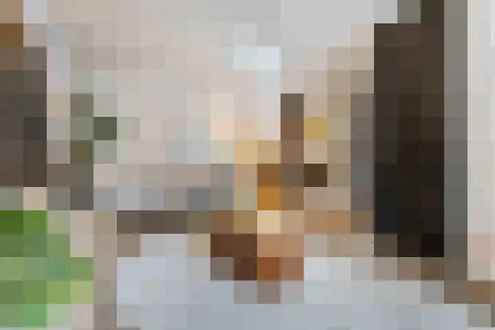 Lokeren 123 's-Hertogenbosch thumbnail 7