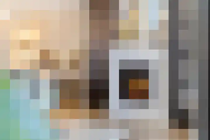 Lokeren 123 's-Hertogenbosch thumbnail 8