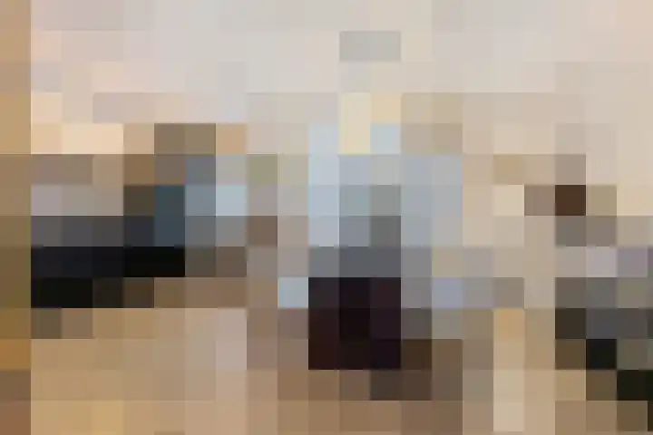 Lokeren 123 's-Hertogenbosch thumbnail 9
