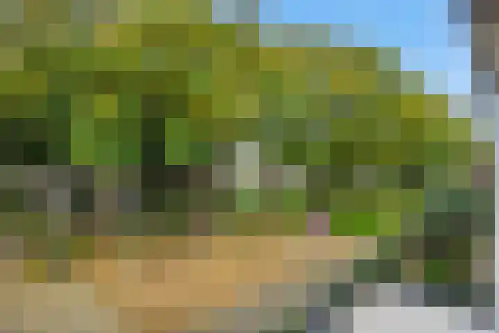 Lokeren 155 's-Hertogenbosch thumbnail 19