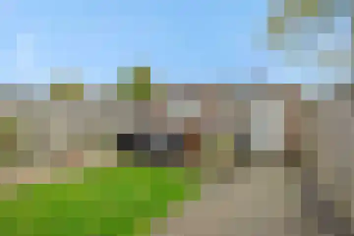 Lokeren 155 's-Hertogenbosch thumbnail 27