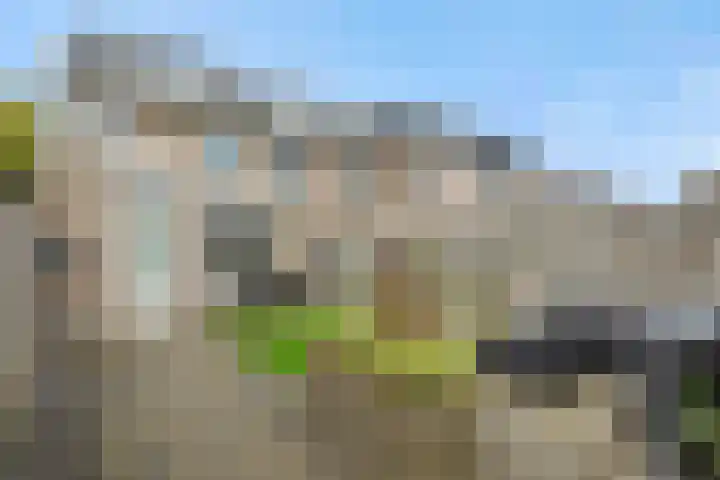 Lokeren 155 's-Hertogenbosch thumbnail 28