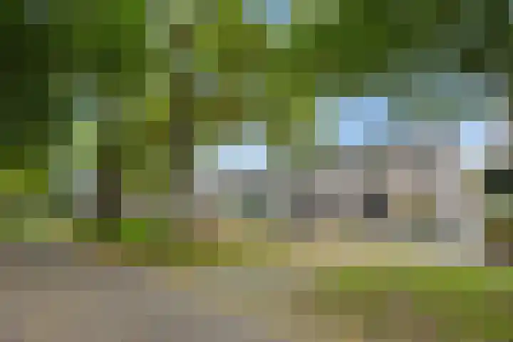 Lokeren 155 's-Hertogenbosch thumbnail 31