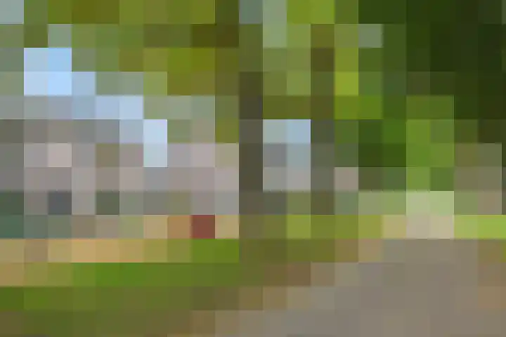 Lokeren 155 's-Hertogenbosch thumbnail 32