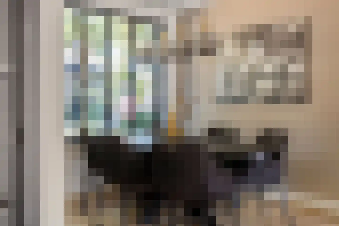 Lokeren 157 's-Hertogenbosch thumbnail 12