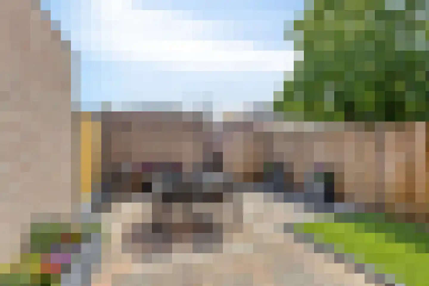 Lokeren 157 's-Hertogenbosch thumbnail 32