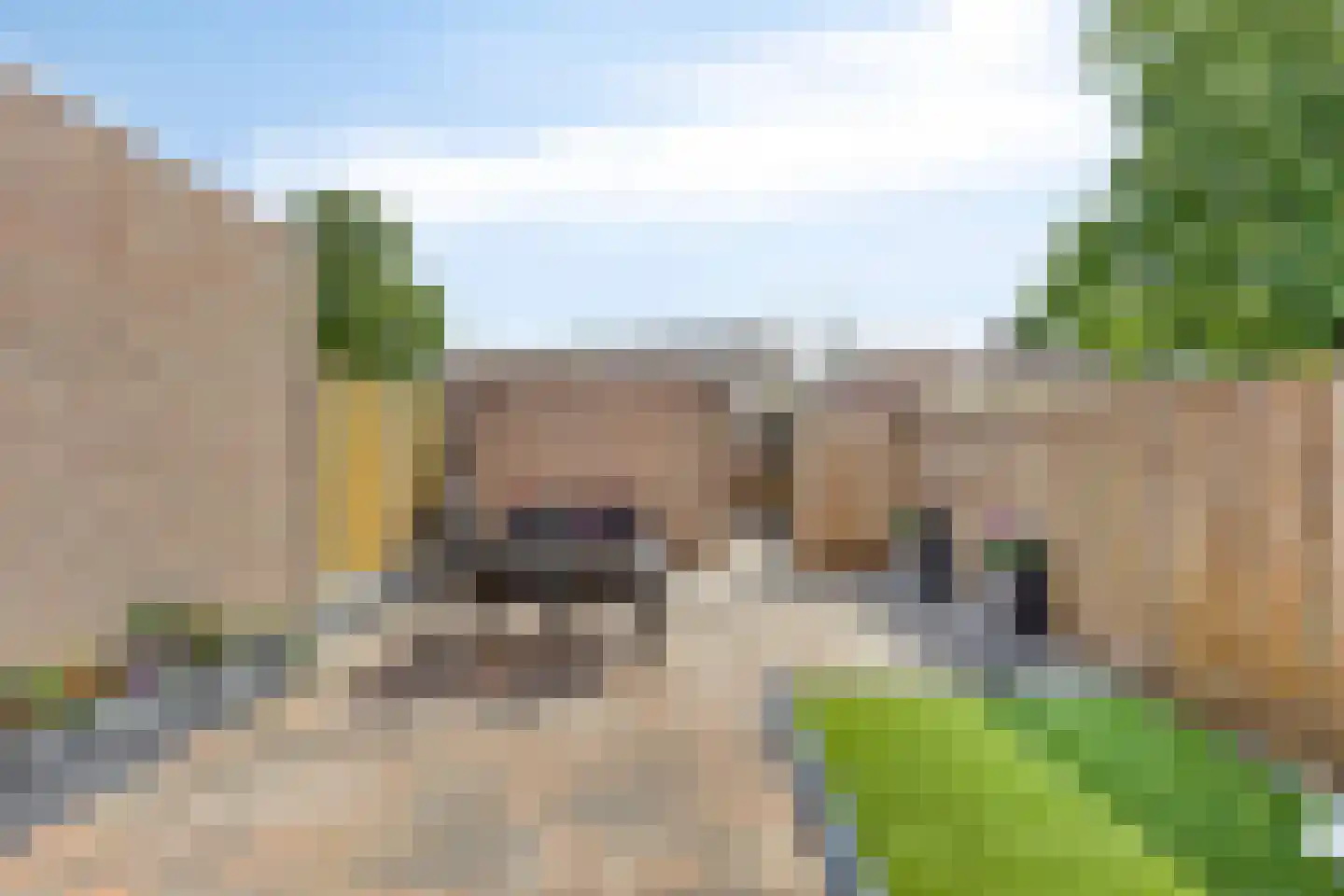 Lokeren 157 's-Hertogenbosch thumbnail 33