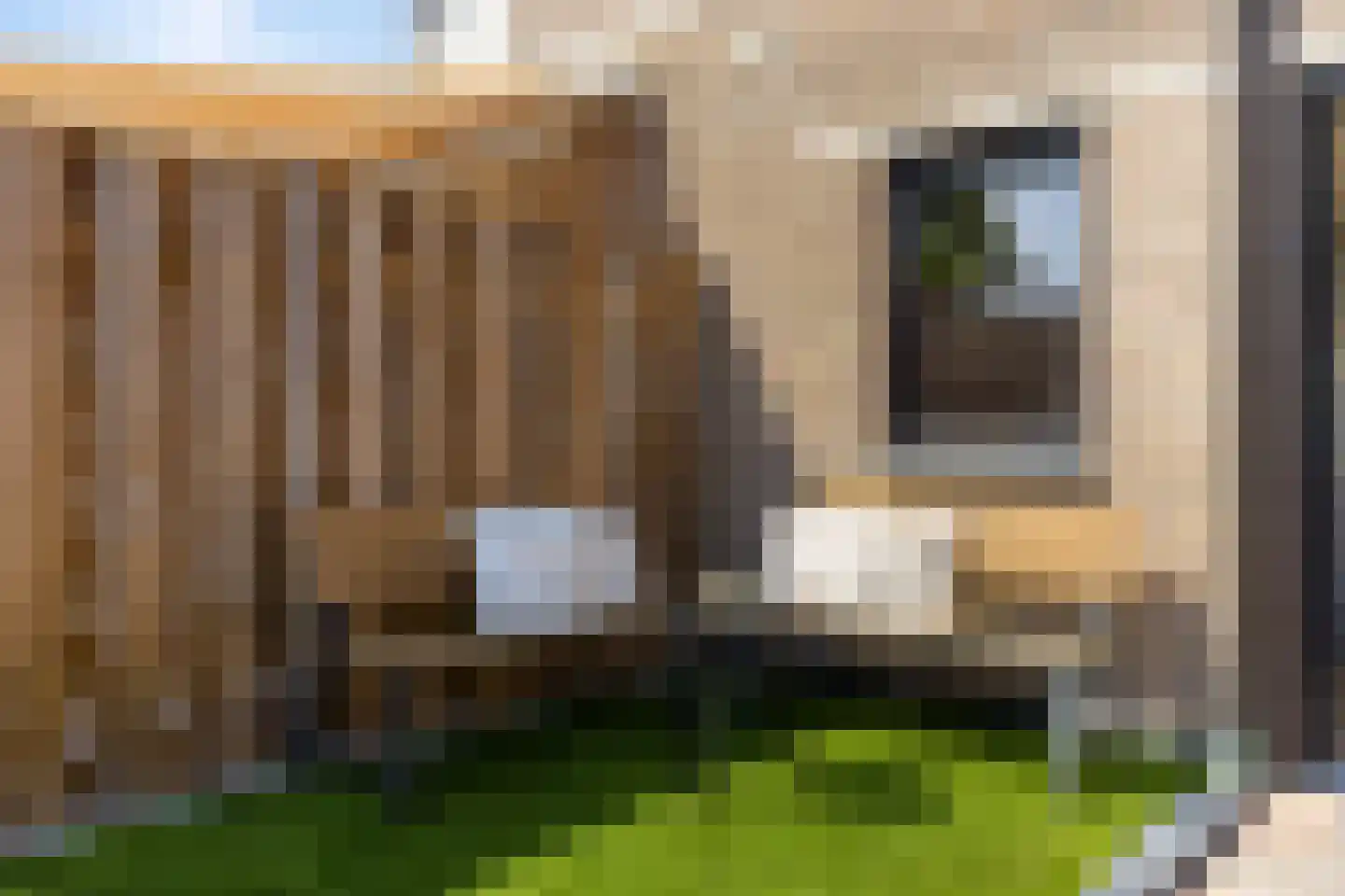 Lokeren 157 's-Hertogenbosch thumbnail 34