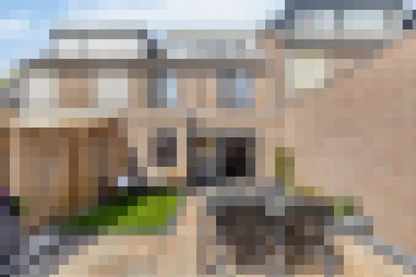 Lokeren 157 's-Hertogenbosch thumbnail 35