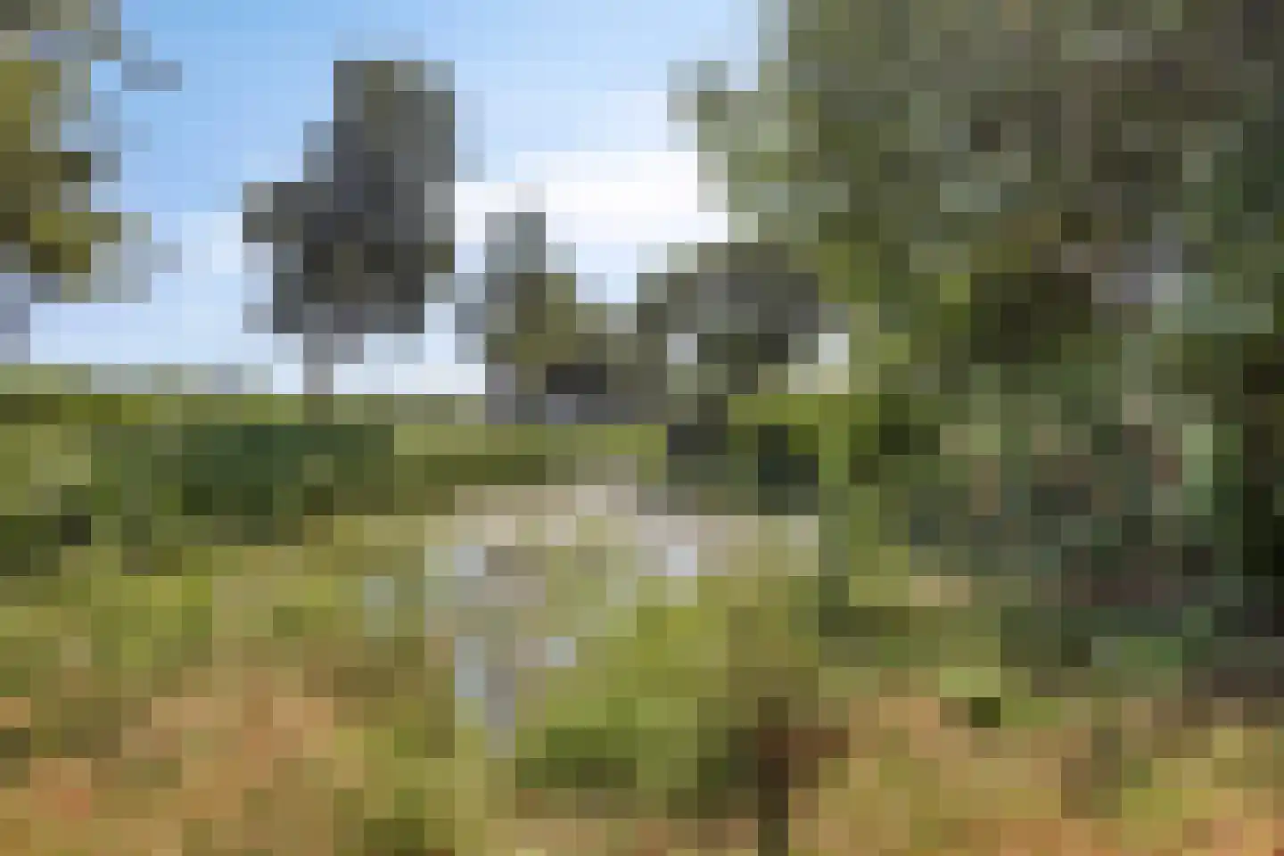 Lokeren 157 's-Hertogenbosch thumbnail 41