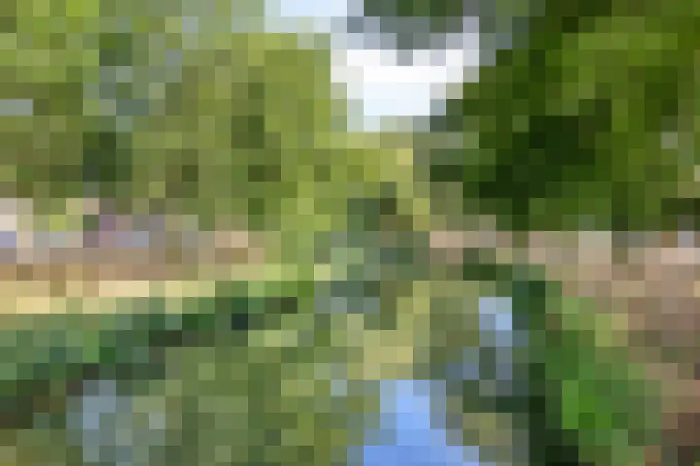 Lokeren 157 's-Hertogenbosch thumbnail 42