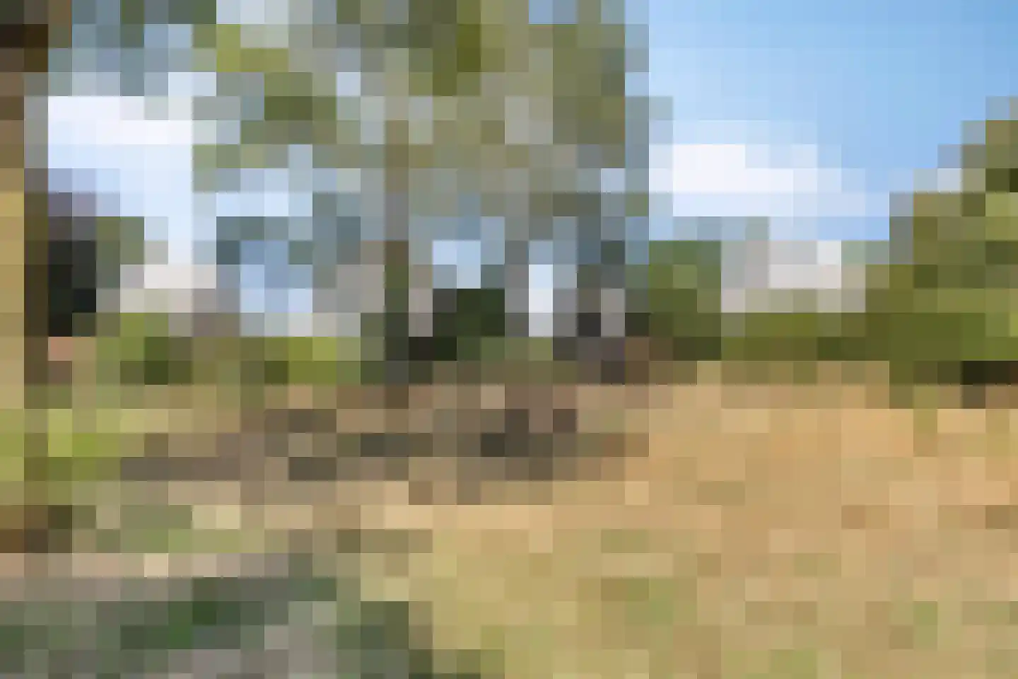 Lokeren 157 's-Hertogenbosch thumbnail 44