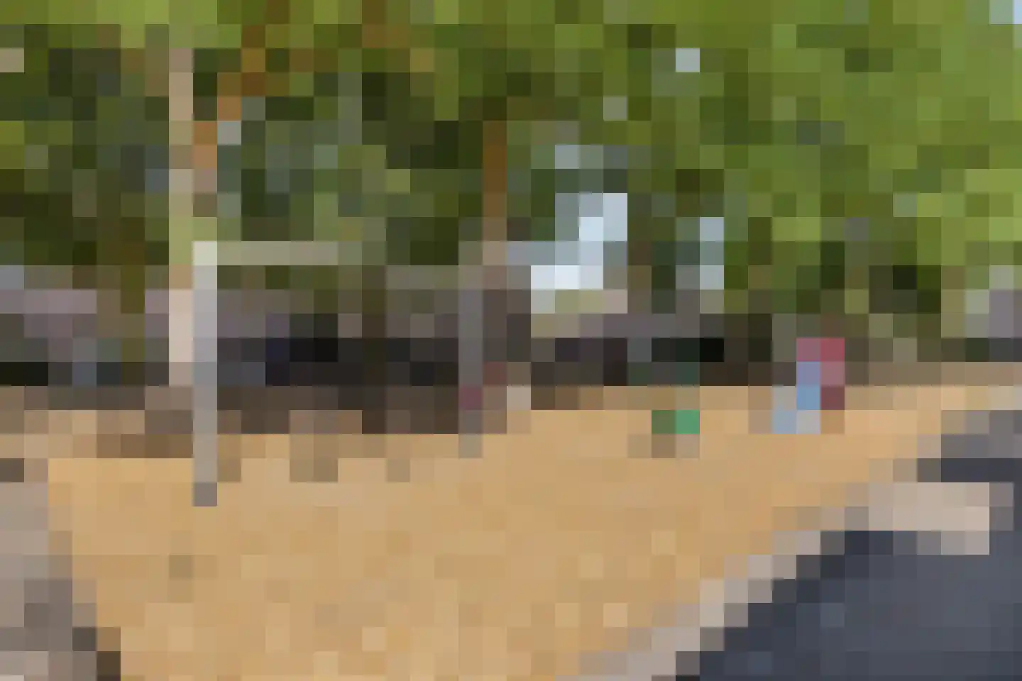 Lokeren 157 's-Hertogenbosch thumbnail 45