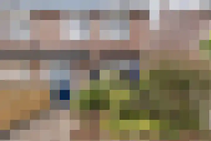 Lokeren 62 's-Hertogenbosch thumbnail 24