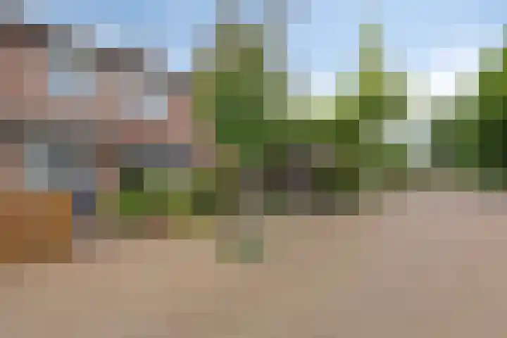 Lokeren 62 's-Hertogenbosch thumbnail 25