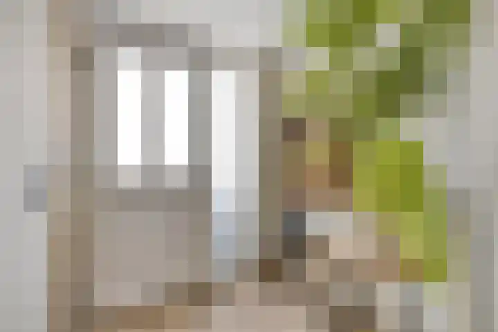 Lokeren 62 's-Hertogenbosch thumbnail 8
