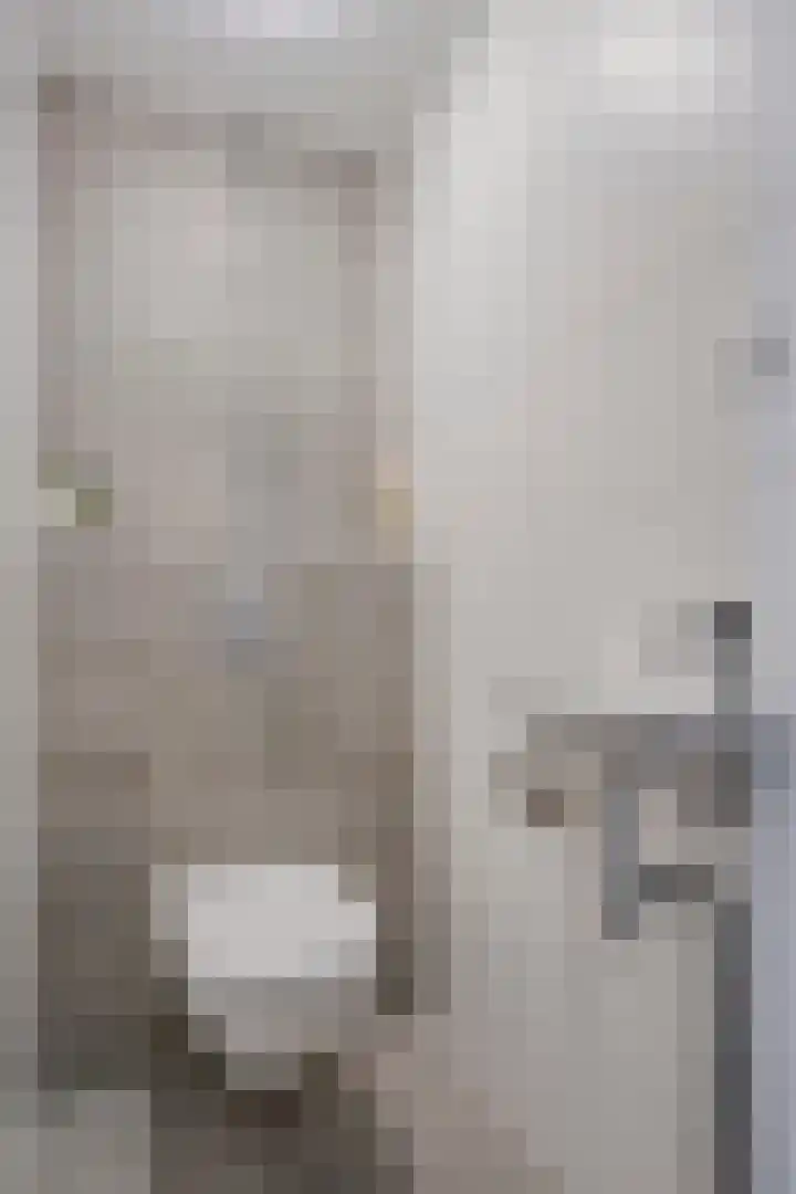 Lokerenpassage 16 's-Hertogenbosch thumbnail 22