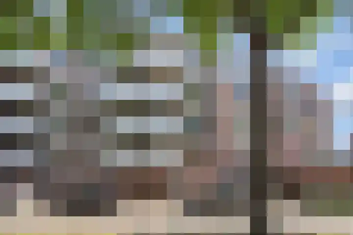 Lokerenpassage 16 's-Hertogenbosch thumbnail 29