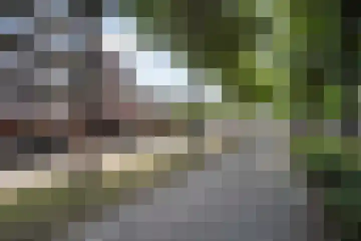 Lokerenpassage 16 's-Hertogenbosch thumbnail 31