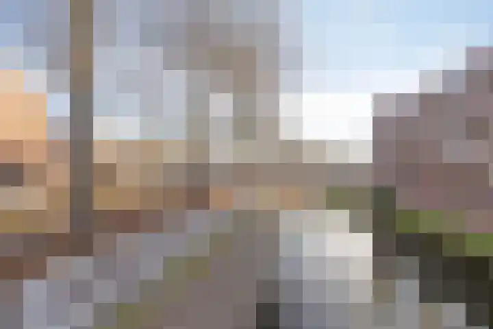 Lokerenpassage 20 's-Hertogenbosch thumbnail 21