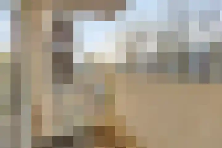 Lokerenpassage 20 's-Hertogenbosch thumbnail 7