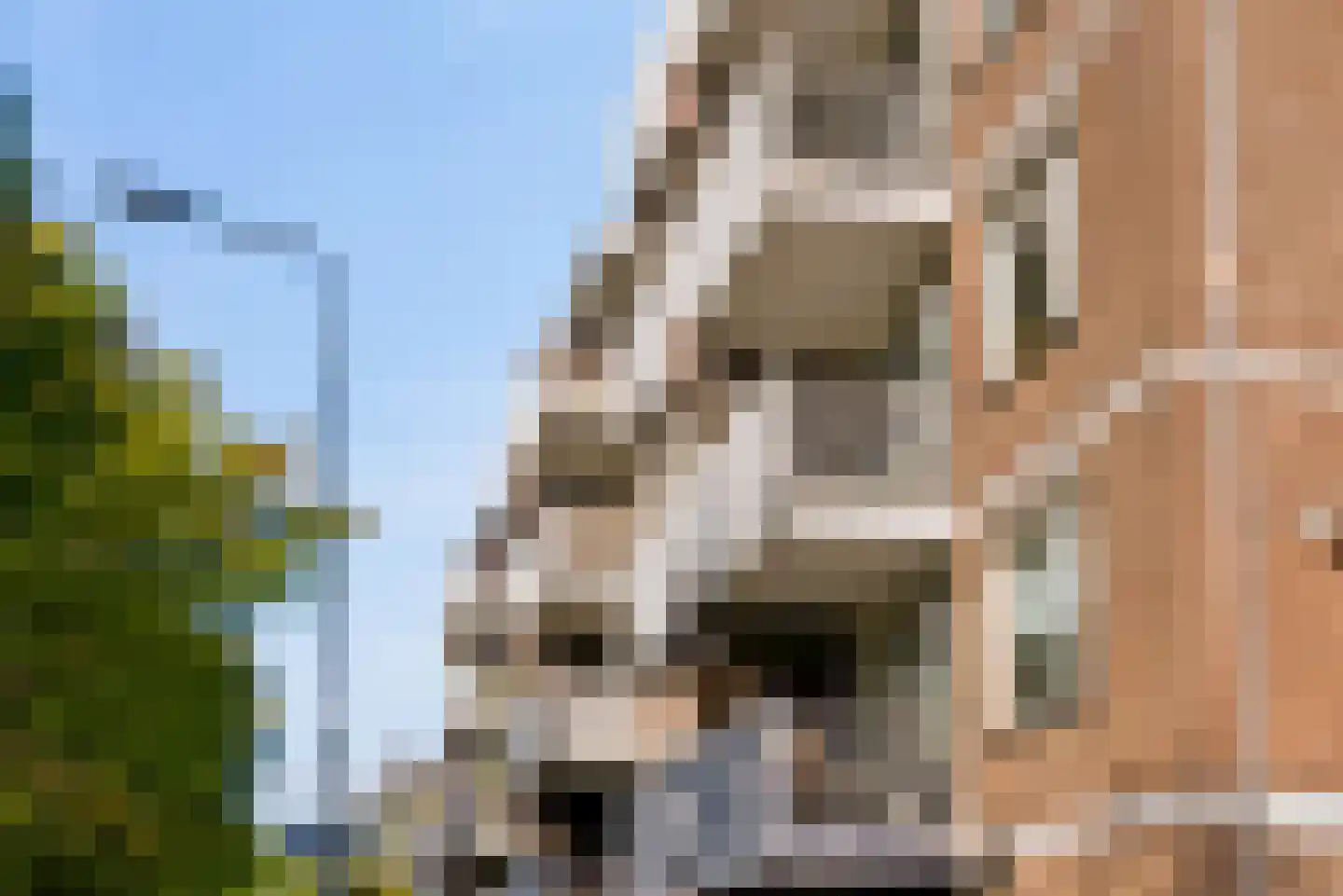 Lokerenpassage 38 's-Hertogenbosch thumbnail 29