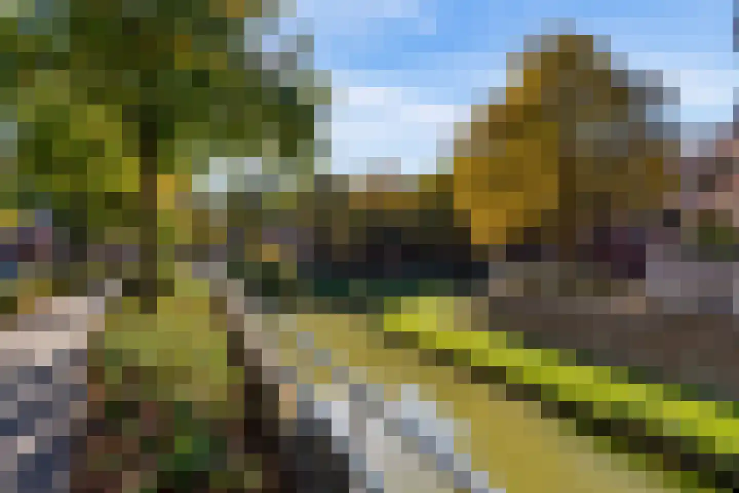 Lokerenpassage 38 's-Hertogenbosch thumbnail 31