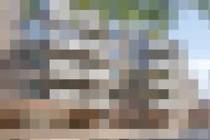 Lokerenpassage 40 en 's-Hertogenbosch