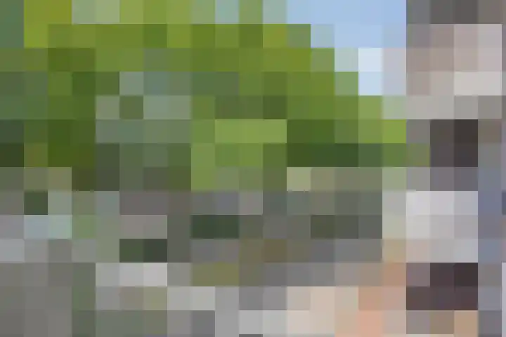 Lokerenpassage 40 's-Hertogenbosch thumbnail 11