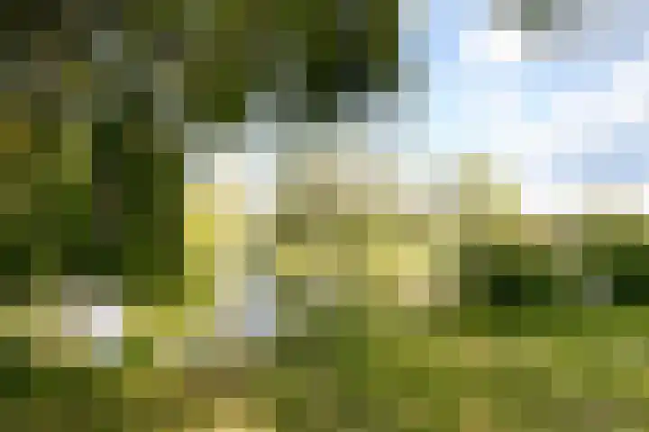 Lokerenpassage 52 's-Hertogenbosch thumbnail 17
