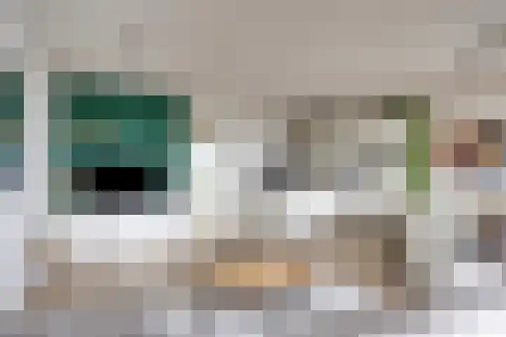 Lokerenpassage 52 's-Hertogenbosch thumbnail 4