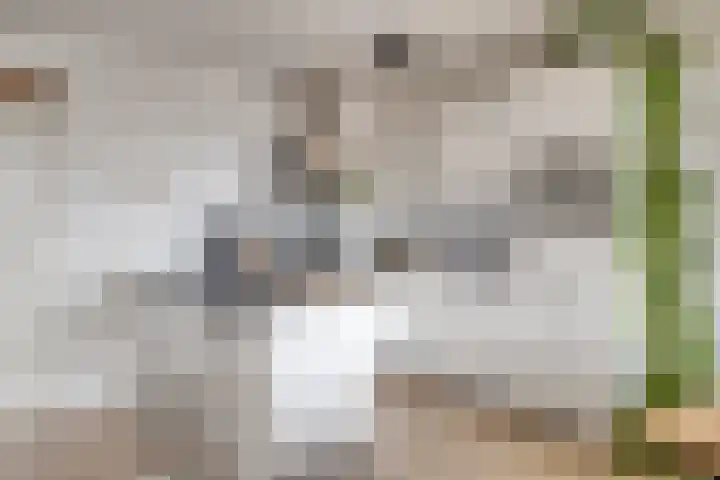 Lokerenpassage 52 's-Hertogenbosch thumbnail 5