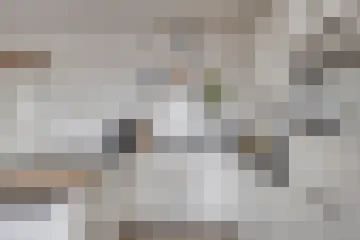 Lokerenpassage 52 's-Hertogenbosch thumbnail 6