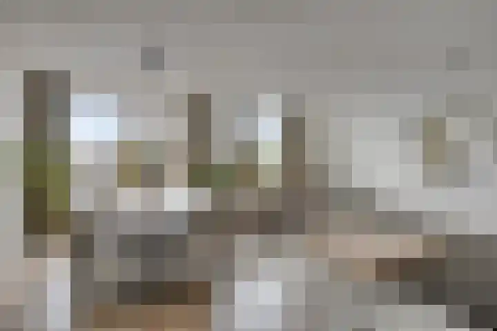 Lokerenpassage 52 's-Hertogenbosch thumbnail 7