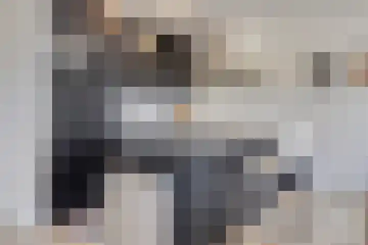 Lokerenpassage 58 's-Hertogenbosch thumbnail 13