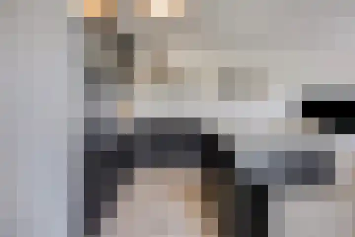 Lokerenpassage 58 's-Hertogenbosch thumbnail 14