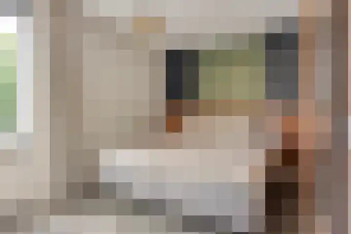 Lokerenpassage 58 's-Hertogenbosch thumbnail 15