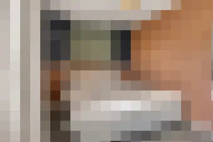 Lokerenpassage 58 's-Hertogenbosch thumbnail 16