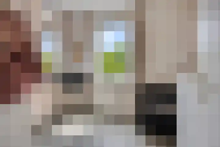 Lokerenpassage 58 's-Hertogenbosch thumbnail 17