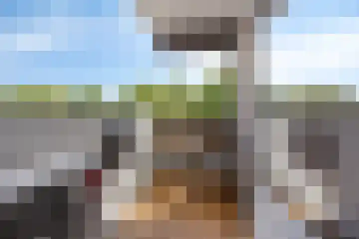 Lokerenpassage 58 's-Hertogenbosch thumbnail 21